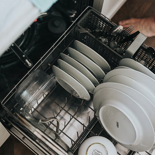 thedishwasher01